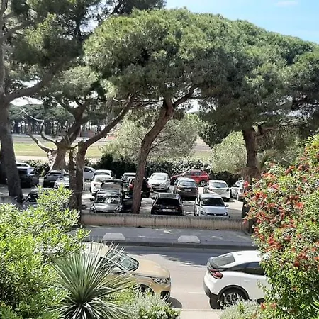 Les Iles D'or Au Port De Grand Climatise