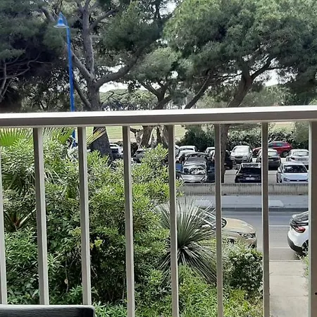 Les Iles D'or Au Port De Grand Climatise *