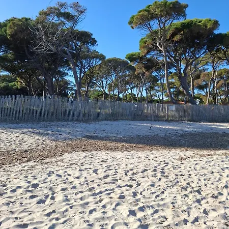 Les îles D'or Au Port De Grand Climatisé