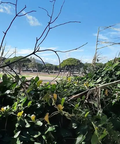 Lejlighed Les Iles D'or Au Port De Grand Climatise