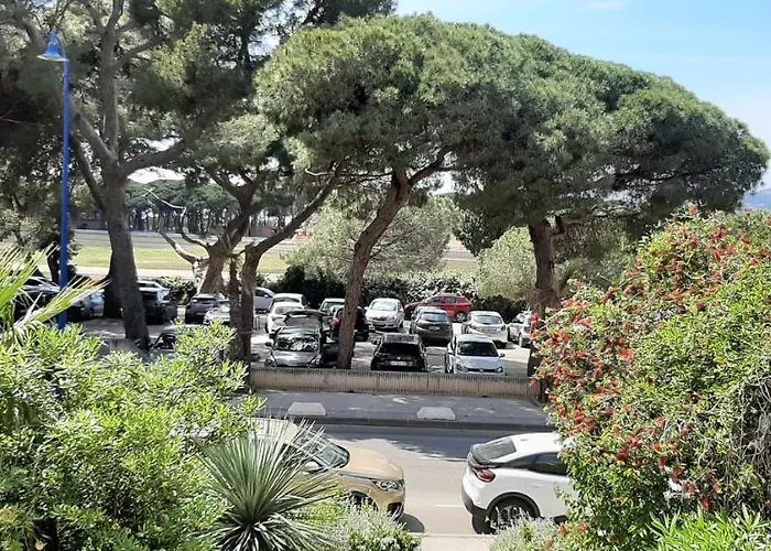 Les Iles D'or Au Port De Grand Climatise