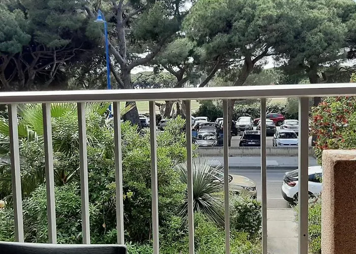 Les Iles D'or Au Port De Grand Climatise *