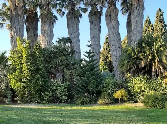 Les Iles D'or Au Port De Grand Climatise Apartment *