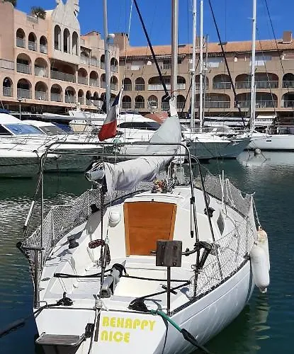 Les Iles D'or Au Port De Grand Climatise * Hyères
