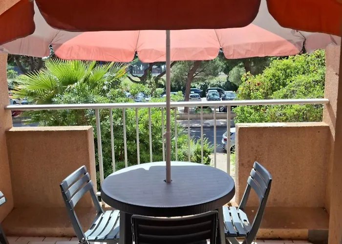 Les Iles D'or Au Port De Grand Climatise * Hyères