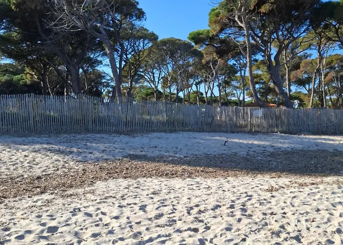 Les Iles D'or Au Port De Grand Climatise
